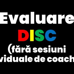 Evaluare DISC (fără sesiuni individuale de coaching)